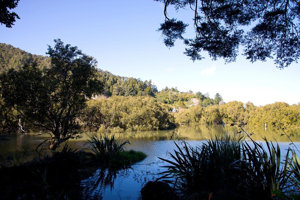 By The Park B & B Whangarei Zewnętrze zdjęcie